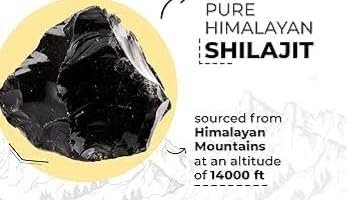 Shilajit Solid