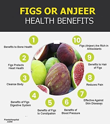 Aanjeer Medium Size (Fresh, Soft, Juicy & Loaded with high granules)