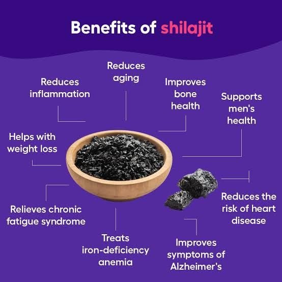 Shilajit Solid